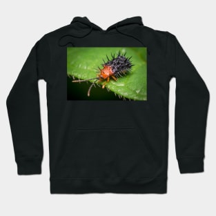 Unique and organic photo of a spiny leaf beetle Hoodie